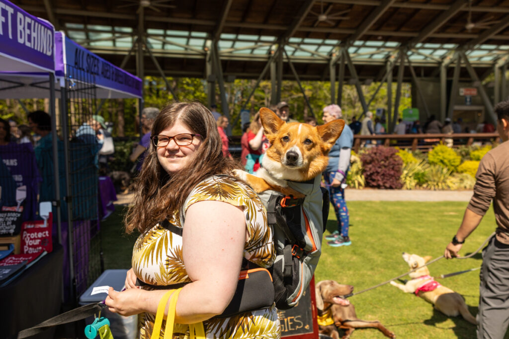 woman smiles in the sun while carrying a Corgi in a backpack at Spring Fling event in Cary, NC