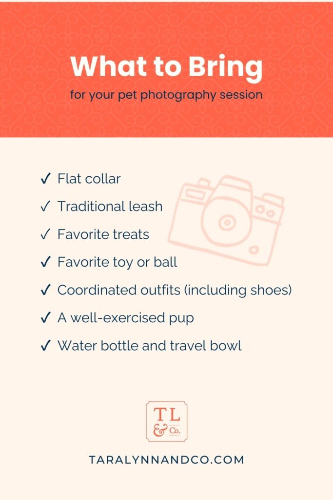 Graphic listing what to bring for a pet photography session