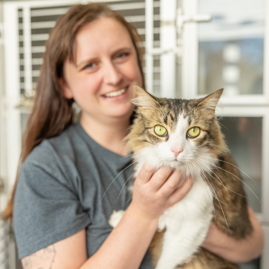 White and calico cat with green eyes looks straight ahead while in the arms of a brunette woman in a great shirt