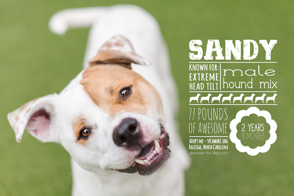 sandy overlay-0386