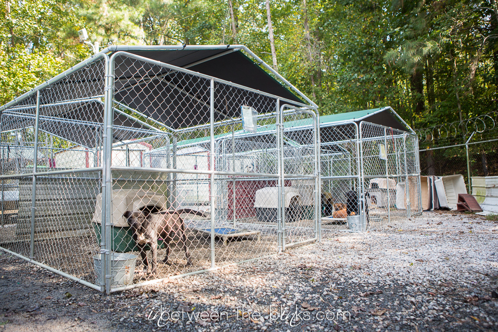 Vance County Animal Shelter