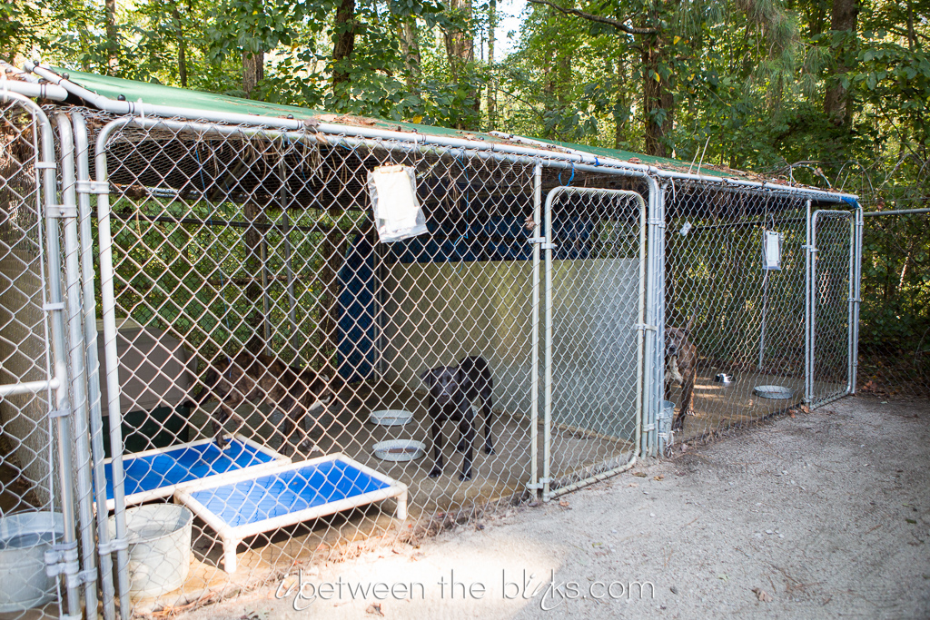 Vance County Animal Shelter