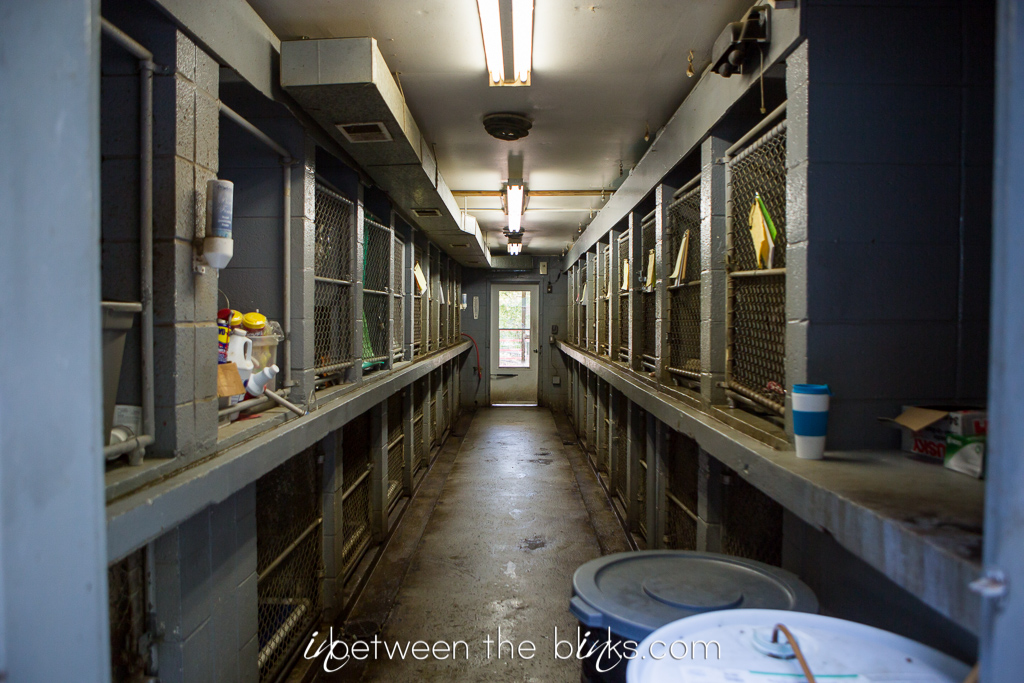 Vance County Animal Shelter