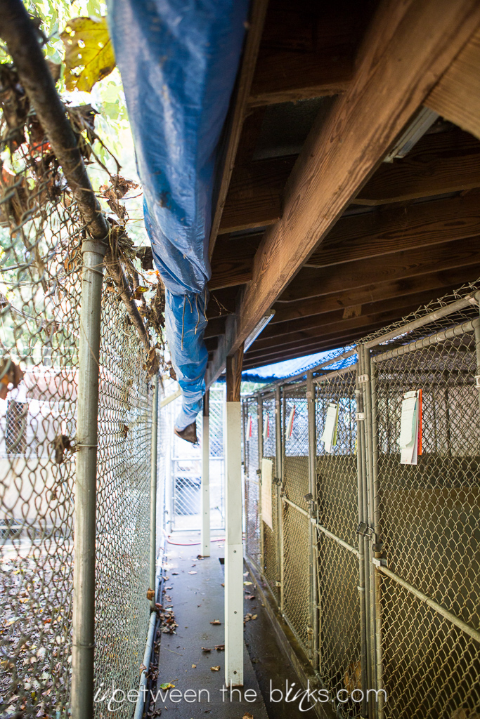 Vance County Animal Shelter