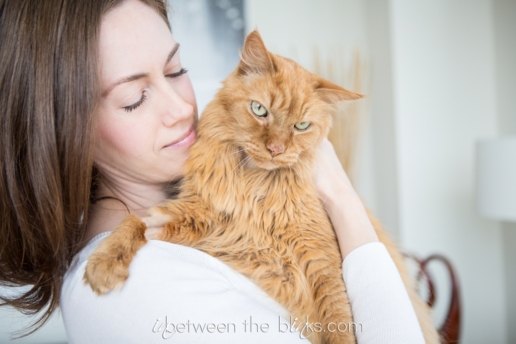 Tabby and Kate – A Love Story