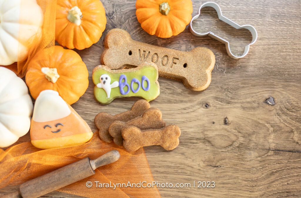 The Most Dangerous Halloween Candy for Pets