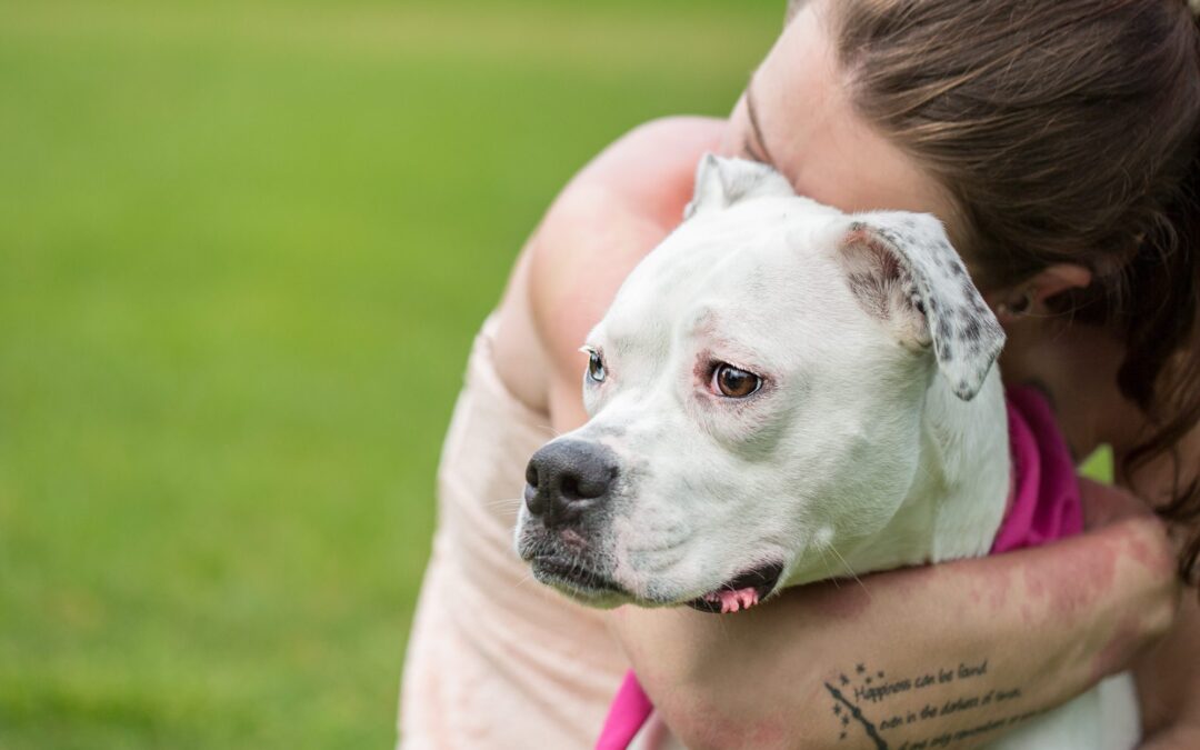 Finding Peace in Parting: The Emotional Journey of Letting Go of Your Pet