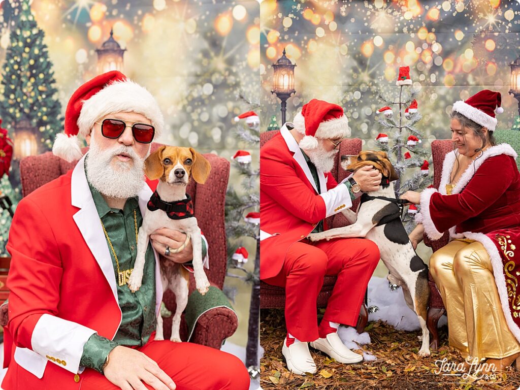 Pet photos with Santa to benefit Triangle Beagle Rescue of North Carolina