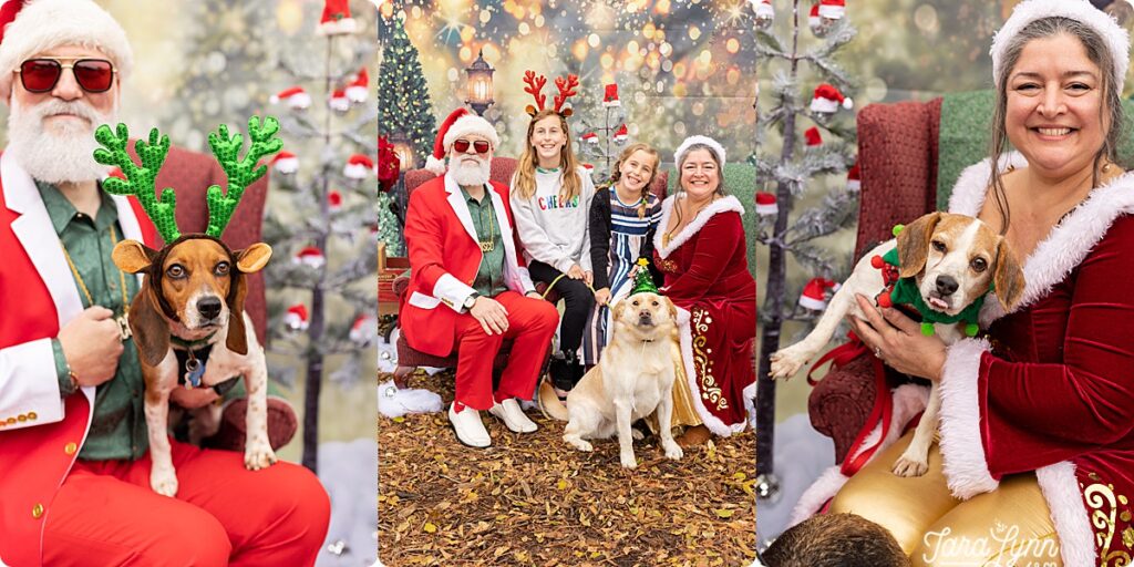 Pet photos with Santa to benefit Triangle Beagle Rescue of North Carolina