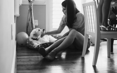 A love letter to my dog Baxter