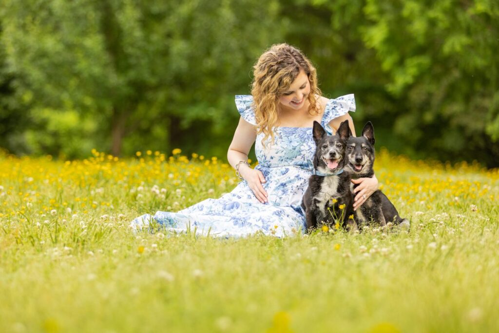 Pregnant woman in a field of spring flowers with her two black dogs