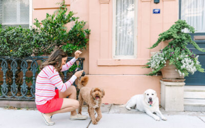 Three common myths about pet photography