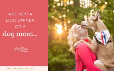 How To Tell If You Are A Dog Owner Or Dog Mom