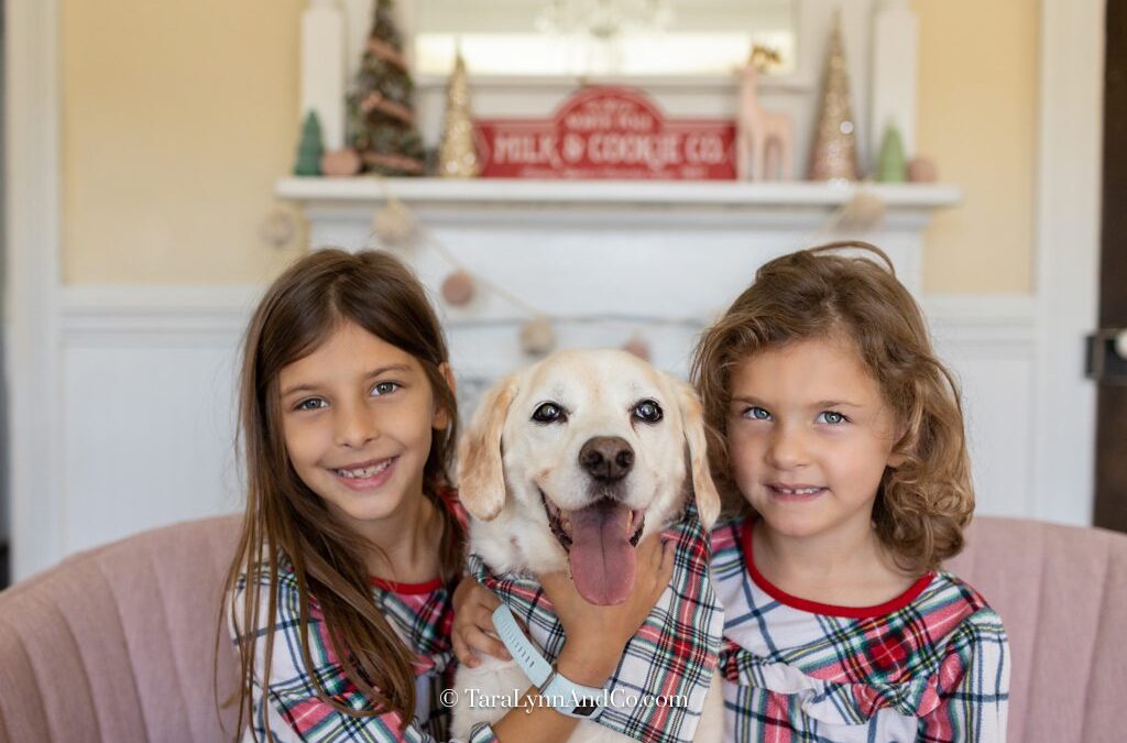 Creative holiday photo ideas for pets and kids