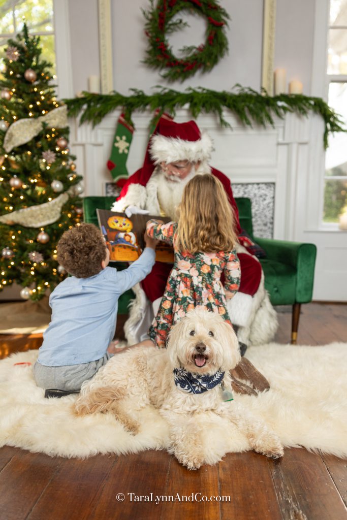 Santa reading to children and a fluffy dog