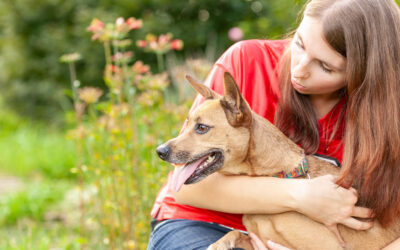 Spring vs. Fall: The Best Time for a Pet Photo Session in Raleigh