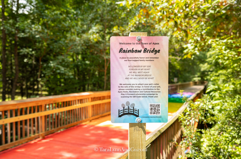 Hidden Gem: Discover the Rainbow Bridge in Apex, North Carolina