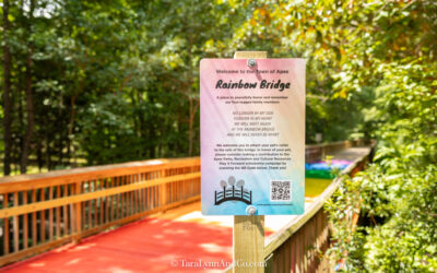 Hidden Gem: Discover the Rainbow Bridge in Apex, North Carolina