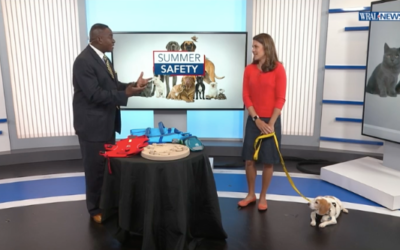 Featured on WRAL: Summer pet safety in North Carolina, plus expert advice from Truss Vet to keep your pets safe and happy.