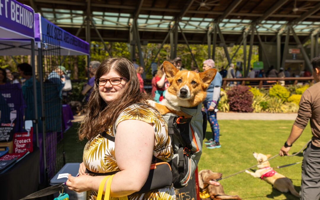 Spring 2026: Pet-Friendly Events in Raleigh, Durham, Cary & Holly Springs
