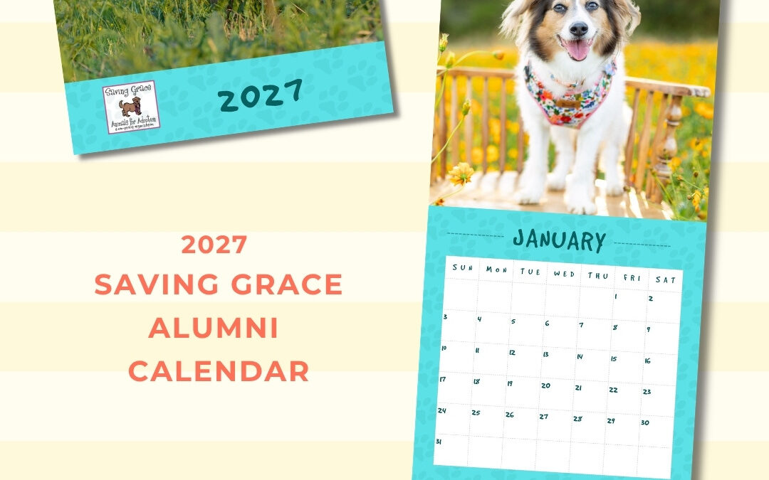 2027 Saving Grace Fundraising Calendar
