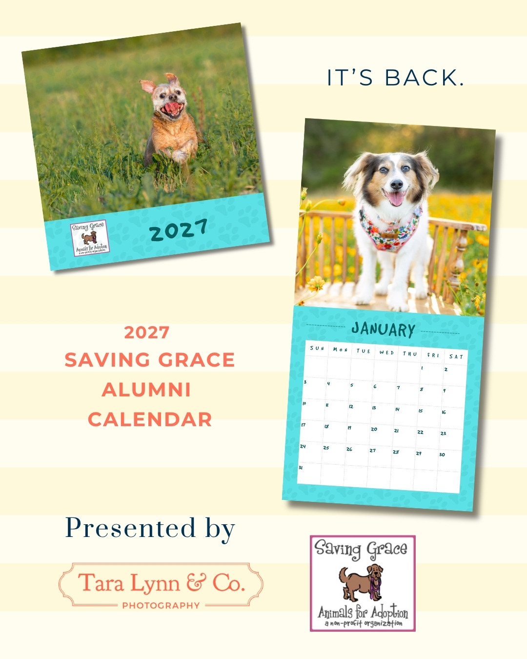 Example of fundraising calendar design